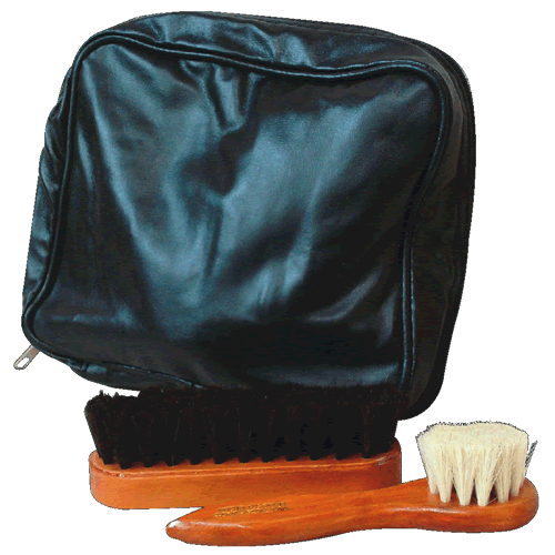 Zippered Shoe Care Case